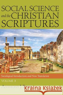 Social Science and the Christian Scriptures, Volume 3 Anthony J Blasi 9781532615146