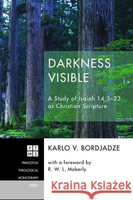 Darkness Visible Karlo V. Bordjadze R. W. L. Moberly 9781532616570 Pickwick Publications