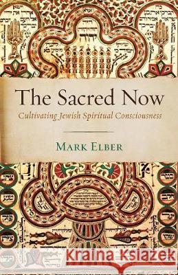 The Sacred Now Mark Elber 9781532617591