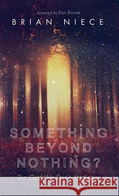 Something Beyond Nothing? Brian Niece, Dan Boone 9781532635885 Wipf & Stock Publishers