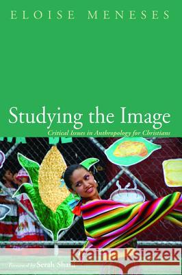 Studying the Image Eloise Meneses Serah Shani 9781532636677 Cascade Books