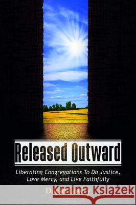 Released Outward David Lowry 9781532640728