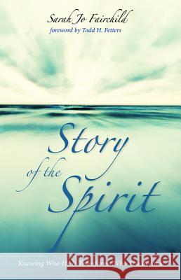 Story of the Spirit Sarah Jo Fairchild Todd H. Fetters 9781532644054