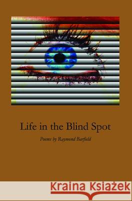 Life in the Blind Spot Raymond Barfield 9781532644399 Resource Publications (CA)
