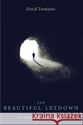 The Beautiful Letdown David Tremaine 9781532646157 Cascade Books