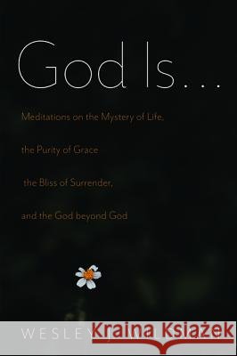 God Is . . . Wesley J. Wildman 9781532659195