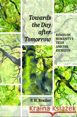 Towards the Day after Tomorrow P. H. Brazier Justyn Terry 9781532660214