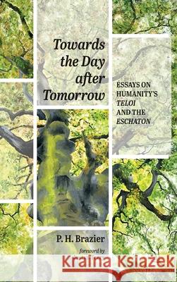 Towards the Day after Tomorrow P H Brazier, Justyn Terry 9781532660221