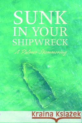 Sunk in Your Shipwreck Jacob Riyeff 9781532662454