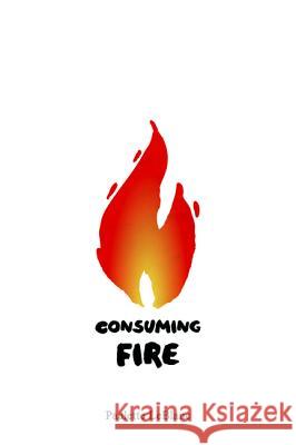 Consuming Fire Paulette LeBlanc 9781532667619