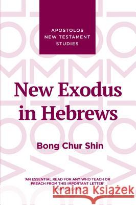 New Exodus in Hebrews Bong Chur Shin 9781532669866 Wipf & Stock Publishers