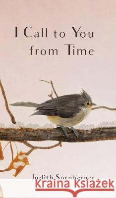 I Call to You from Time Judith Sornberger 9781532688102 Resource Publications (CA)