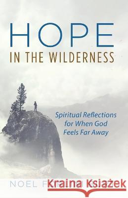 Hope in the Wilderness Noel Forlin Jerry Sittser 9781532689345 Cascade Books