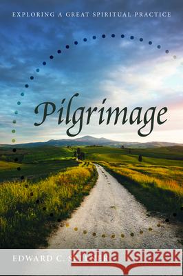 Pilgrimage Edward C. Sellner 9781532693311