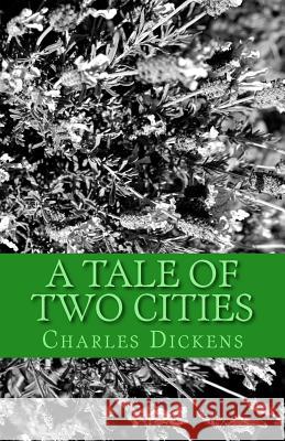 A Tale of Two Cities Charles Dickens 9781532782312