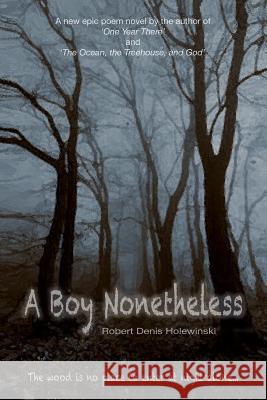 A Boy Nonetheless Robert Denis Holewinski 9781532815881 Createspace Independent Publishing Platform