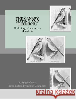The Canary: Mating and Breeding: Raising Canaries Book 6 Singer Gravel Jackson Chambers 9781532834417 Createspace Independent Publishing Platform
