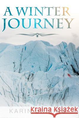 A Winter Journey Karin Brising 9781532837029