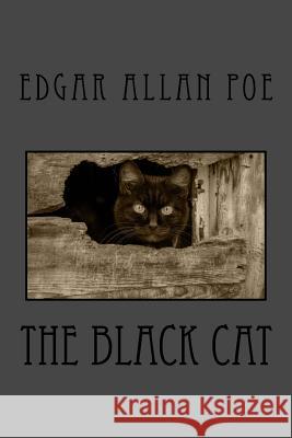 The Black Cat Edgar Allan Poe 9781532874239 Createspace Independent Publishing Platform