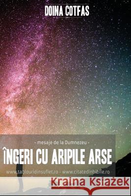 Ingeri Cu Aripi Arse: Mesaje de la Dumnezeu Cotfas, Doina 9781532893797 Createspace Independent Publishing Platform