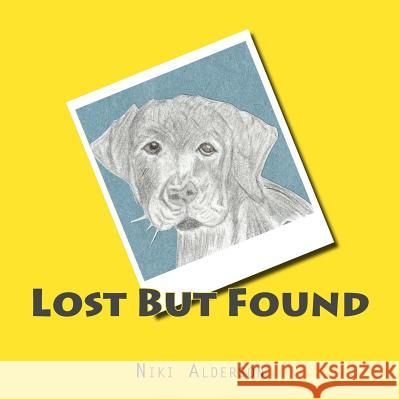 Lost But Found Niki Alderson Loni Grant 9781532904127