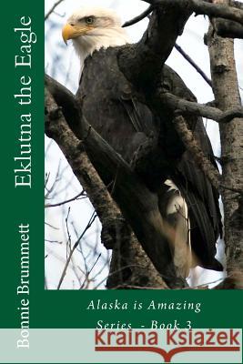 Eklutna the Eagle Bonnie J. Brummett 9781533139887 Createspace Independent Publishing Platform