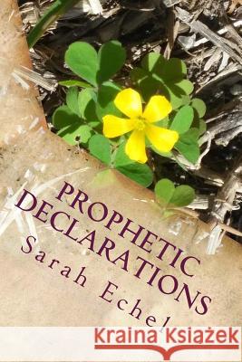 Prophetic Declarations: Heaven Released Through the Power Of Your Words Echel, Sarah 9781533178176 Createspace Independent Publishing Platform