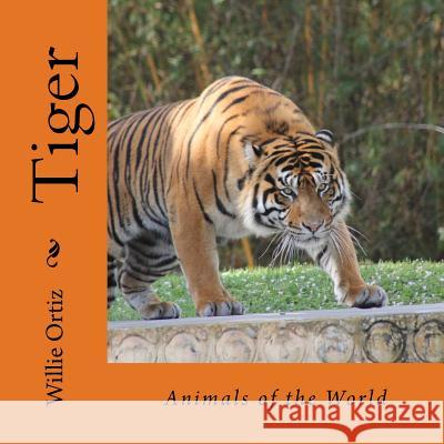 Tiger: Animals of the World MR Willie Ortiz 9781533234094 Createspace Independent Publishing Platform