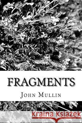 Fragments: A Poetic Collection John Mullin 9781533289681 Createspace Independent Publishing Platform