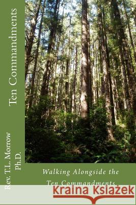 Walking Alongside the Ten Commandments Terry L. Morrow 9781533345530 Createspace Independent Publishing Platform