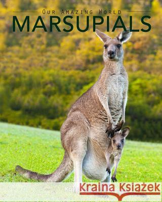 Marsupials: Amazing Pictures & Fun Facts of Animals in Nature Kay D 9781533381170 Createspace Independent Publishing Platform