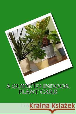 A Guide to Indoor Plant Care Isac Beach 9781533384485 Createspace Independent Publishing Platform