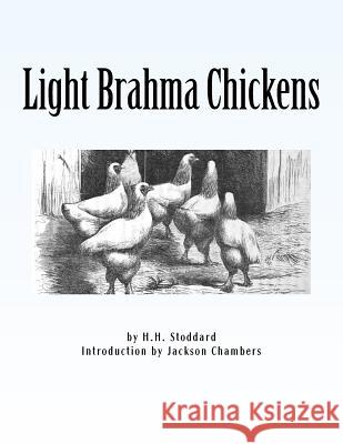 Light Brahma Chickens: Chicken Breeds Book 25 H. H. Stoddard Jackson Chambers 9781533388315 Createspace Independent Publishing Platform