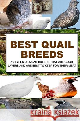 Best Quail Breeds: 10 Types Of Quail Breeds That Are Good Layers And Are Best To Keep For Their Meat Otieno, F. 9781533498168 Createspace Independent Publishing Platform