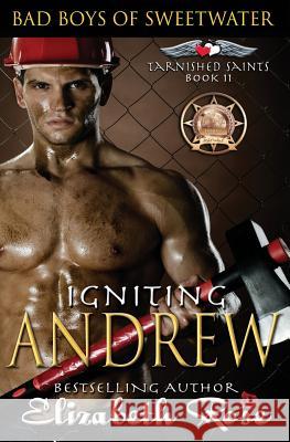 Igniting Andrew Elizabeth Rose 9781533501172 Createspace Independent Publishing Platform