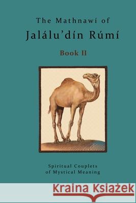 The Mathnawi of Jalalu'din Rumi - Book 2: The Mathnawi of Jalalu'din Rumi - Book 2 Jalalu'din Rumi Michael Bielas 9781533505651