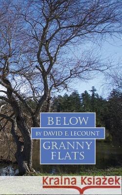 Below Granny Flats David E. Lecount 9781533593382 Createspace Independent Publishing Platform