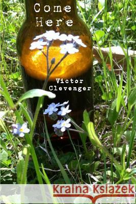 Come Here Victor Clevenger Least Bittern Books Bree Bree 9781533658937 Createspace Independent Publishing Platform