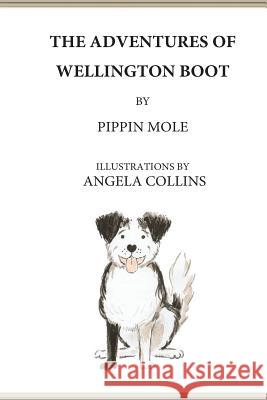 The Adventures of Wellington Boot Pippin Mole Angela Collins 9781533692696