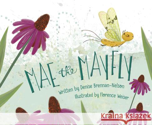 Mae the Mayfly Denise Brennan-Nelson Florence Weiser 9781534110519