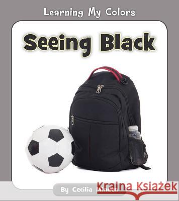 Seeing Black Cecilia Minden 9781534123922