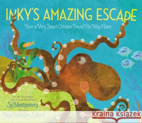 Inky's Amazing Escape: How a Very Smart Octopus Found His Way Home Sy Montgomery Amy Schimler-Safford 9781534401914