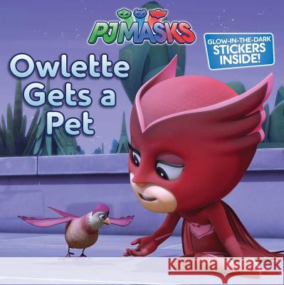 Owlette Gets a Pet Maggie Testa 9781534410497