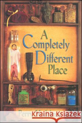 A Completely Different Place Perry Nodelman 9781534417953 Simon & Schuster Books for Young Readers
