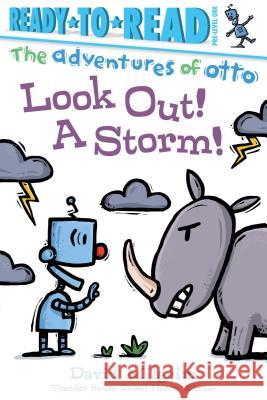 Look Out! a Storm!: Ready-To-Read Pre-Level 1 Milgrim, David 9781534441965 Simon Spotlight