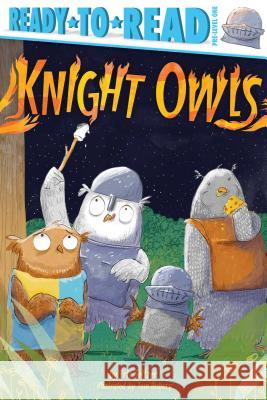 Knight Owls Eric Seltzer Tom Disbury 9781534448803 Simon Spotlight