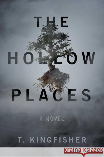 The Hollow Places Kingfisher, T. 9781534451124 Gallery / Saga Press