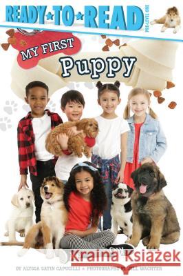 My First Puppy: Ready-To-Read Pre-Level 1 Capucilli, Alyssa Satin 9781534453791 Simon Spotlight