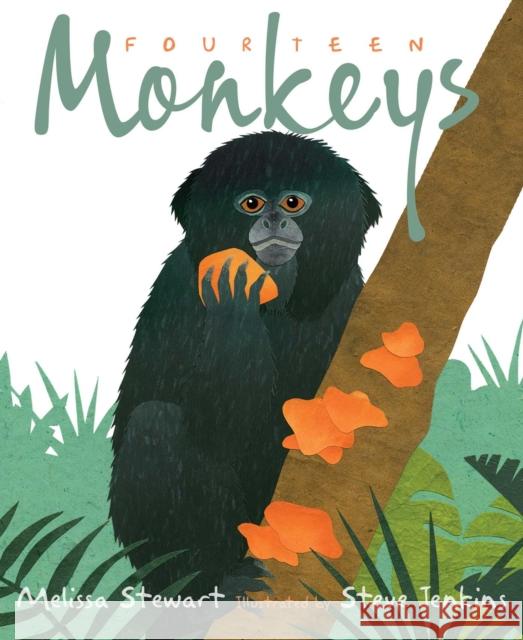 Fourteen Monkeys: A Rain Forest Rhyme Melissa Stewart Steve Jenkins 9781534460393 Beach Lane Books