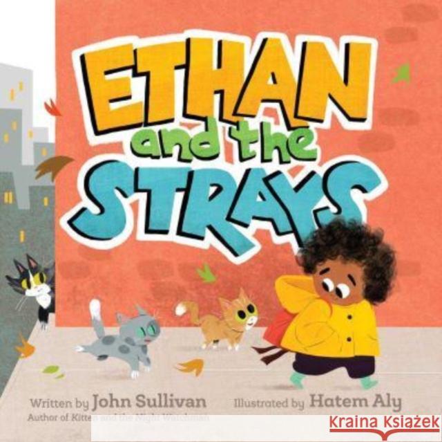 Ethan and the Strays John Sullivan Hatem Aly 9781534471320 Simon & Schuster/Paula Wiseman Books
